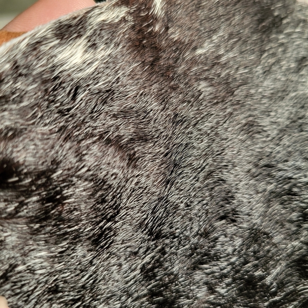 MYRA HAIR ON HIDE LEATHER SUEDE CROSSBODY BAG - Picture 9 of 9